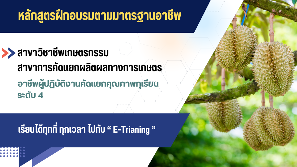สาขาวิชาชีพเกษตรกรรม สาขาการคัดแยกผลิตผลทางการเกษตร อาชีพผู้ปฏิบัติงานคัดแยกคุณภาพทุเรียน ระดับ 4